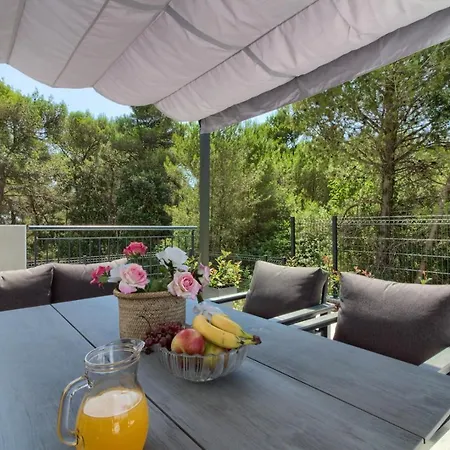 Modern Flavia In Near The