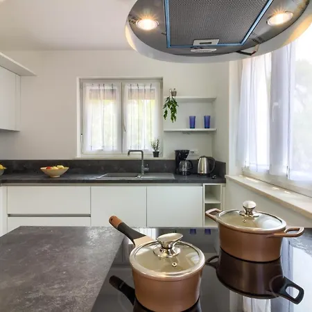 Modern Flavia In Near The